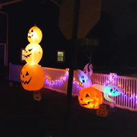 Inflated Pumpkins